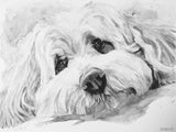 B&W Watercolor Hand Painted Pet Portrait 12X16"