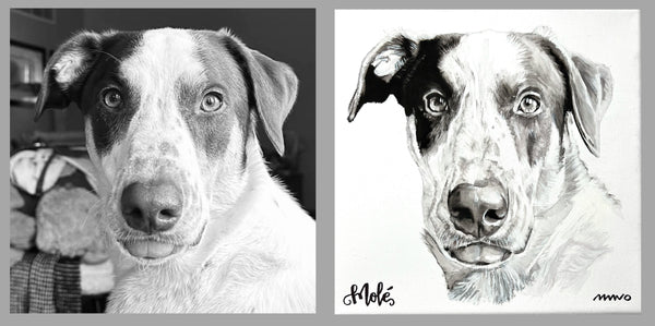 Black & White 12X12” Hand Painted Pet Portrait on Canvas