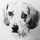B&W Watercolor Hand Painted Pet Portrait 10x10"