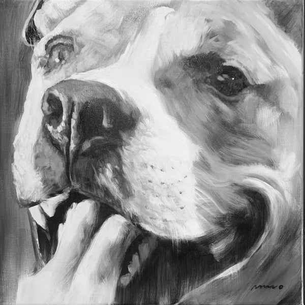 “ZOOMIES” ACRYLICS 18X18” B&W PET PORTRAIT on  Canvas